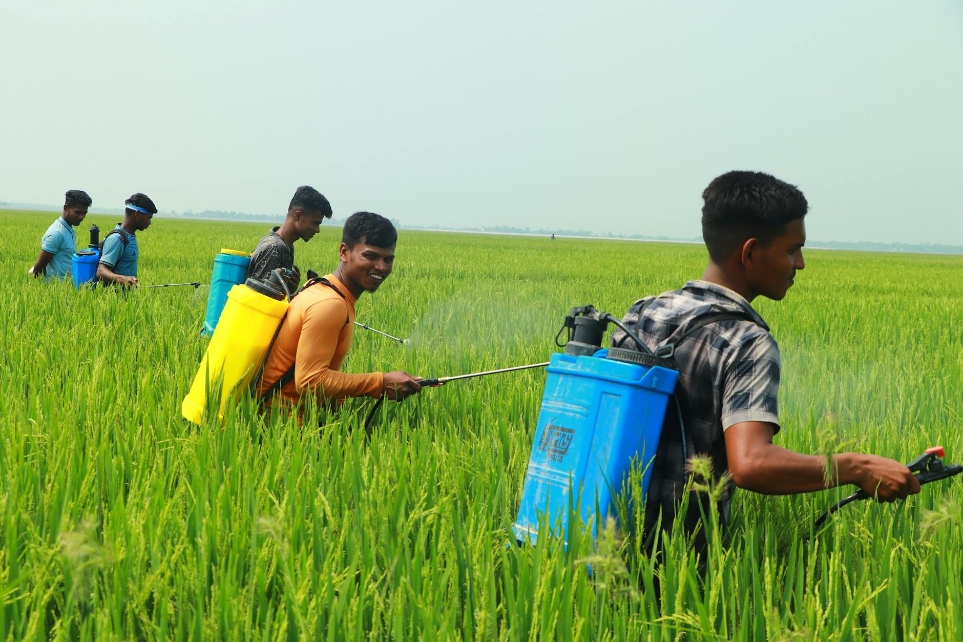 Agricultural chemistry field application
